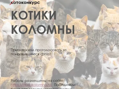 Корма для кошек - отзывы, рейтинг и оценки покупателей - маркетплейс  megamarket.ru
