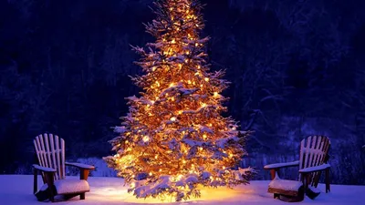 Скачать обои Широкоформатные Новый год, Рождество, новогодние елка в огнях  на рабочий стол 1680x1050