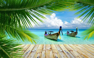 Обои для рабочего стола Пляж Море Природа пальм Тропики 2560x1706