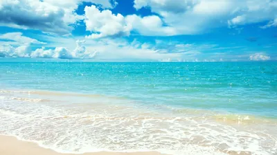 Обои пляж, море, побережье, тропическая зона, берег - картинка на рабочий  стол и фото бесплатно