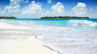 Обои бунгало, гамак, пляж, пальмы, море, песок на рабочий стол