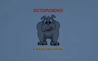 Бесплатные забавные обои на рабочий стол | Скачать шаблоны смешных обоев на рабочий  стол онлайн | Canva