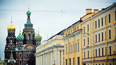 Обои Санкт Петербург | Обои, Покраска обоев, Санкт петербург