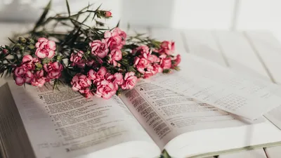 Обои книга, цветы, букет, розовый картинки на рабочий стол, фото скачать  бесплатно