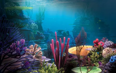 Богатый подводный мир кораллового рифа - обои на рабочий стол