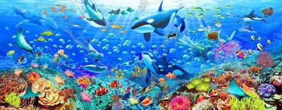 Обои \"Подводный Мир\" на рабочий стол, скачать бесплатно лучшие картинки Подводный  Мир на заставку ПК (компьютера) | mob.org