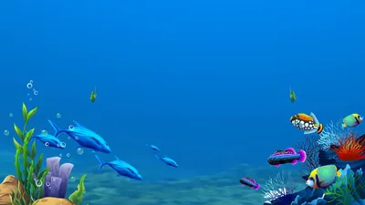 В каких странах самый красивый подводный мир