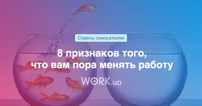 Масштабировать агентский канал, а не хаос и затраты»: как понять, что пора  автоматизировать работу с