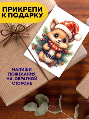Как в России начали «толкаться» Новый год и Рождество - Православный журнал  «Фома»