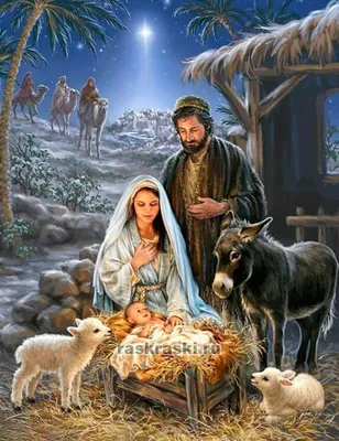 Рождество Христово — MG2152 50х40 см / Купить картину по номерам Цветной  Премиум