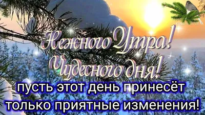 Поздравления на каждый день - Пусть сегодняшний день принесет радость,  хорошее настроение и добрые вести 😀 | Facebook