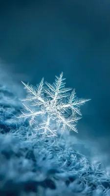 Зима Картинки На Телефон Вертикальные – Telegraph
