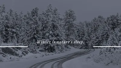 Зима Картинки На Телефон Вертикальные – Telegraph