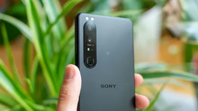 Sony Xperia 1 III Camera review: A slight improvement over its predecessor  - DXOMARK