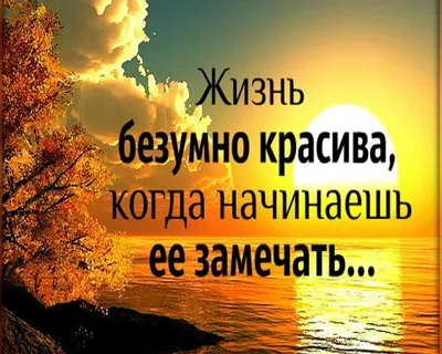 Прикольные статусы на все случаи жизни для социальных сетей: 50+ вариантов