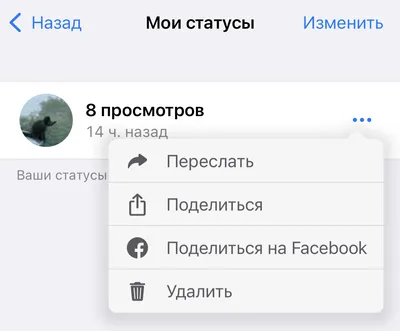 весёлые статусы в ватсап｜TikTok Search