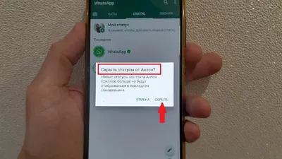 Как заработать на статусах в WhatsApp?