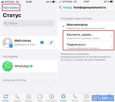 Картинки статус для whatsapp природа (67 фото) » Картинки и статусы про  окружающий мир вокруг