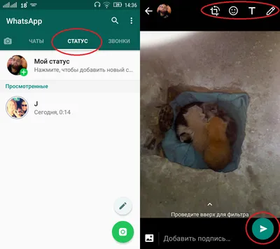 Как скрыть свой статус WhatsApp для выбранных контактов - Hi-Tech Mail.ru