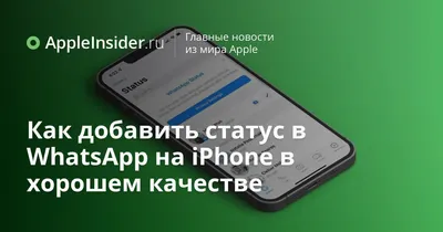 НОВАЯ ФИШКА! Как в Ватсапе скрыть свой сетевой статус | ВСЁ ПРО ВАТСАП |  Дзен