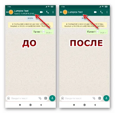 Бесплатные опросы и голосования в ватсапе | Chat2Desk.com