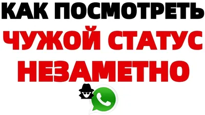 В WhatsApp добавят возможность реакции на статус при помощи эмодзи | РБК  Life