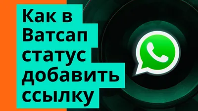 Пожаловаться на контакт в Ватсапе — как сообщить о жалобе и заблокировать  пользователя