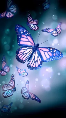 Красивые картинки на телефон бабочки (Большая коллекция фото) - treepics.ru