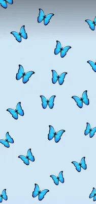 Бабочка | Blue butterfly wallpaper, Butterfly wallpaper, Cute patterns  wallpaper