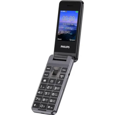 Телефон Philips Xenium E207 Black купить в Феодосии