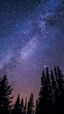 Обои ночное небо, луна, облако, дневное время, розовый на телефон Android,  1080x1920 картинки и фото бесплатно