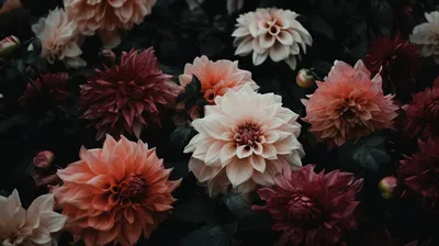 Цветы на темном фоне | Цветы | Каталог Affresco