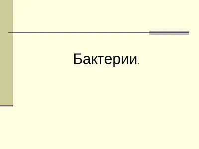 Вредные и полезные бактерии нашего кишечника! Предупрежден, значит  вооружен! ФАКТЫ, КОТОРЫЕ ВАС УДИВЯТ! | Виват Шпинат💥 | Дзен