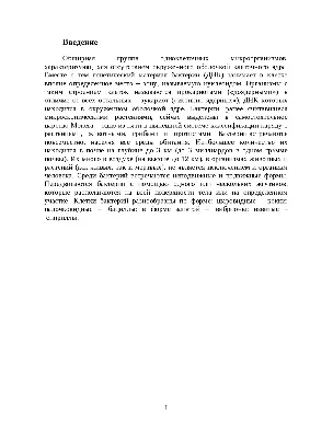 Тестовая работа по теме \"Бактерии\" 6 класс