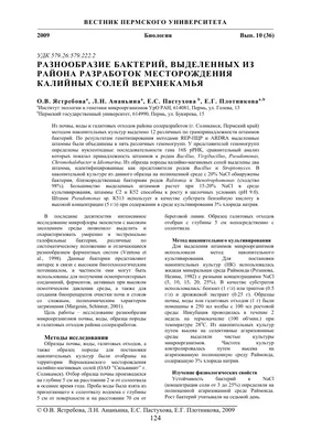 Презентация на тему: \"Бактерии, их разнообразие и размножение. Значение  бактерий в природе и в жизни человека Биология, 7 класс.\". Скачать  бесплатно и без регистрации.