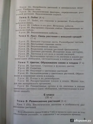 Бактерии: Роль в природе и человеческом здоровье» — создано в Шедевруме