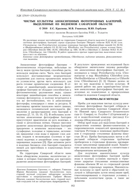 Красочный фон вектора. Микробиология. Рамка для медицинской темы. Бактерии  и микробы вирусов. Иллюстрация вектора - иллюстрации насчитывающей график,  анимизма: 185352038