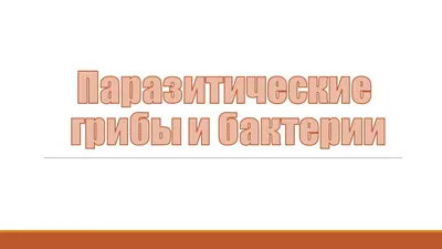 Вирус бактерий бесшовный рисунок, минимализм Иллюстрация вектора -  иллюстрации насчитывающей иллюстрация, мило: 164464085