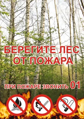 Берегите лес от пожара - БУ \"Сургутский районный комплексный центр  социального обслуживания населения\"