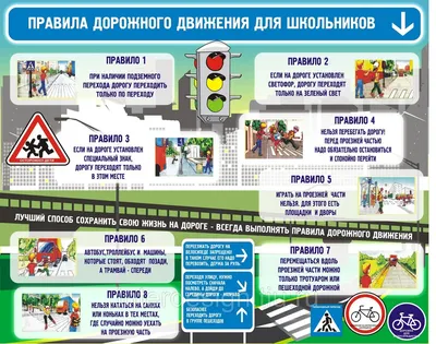 Пятиклассники информационно-экономического лицея провели акцию «Безопасность  на дороге» | НИОС