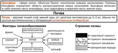 Рисунок биосфера (49 фото) » Рисунки для срисовки и не только