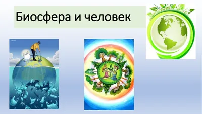 Конспект урока на тему: «Биосфера. Среды жизни» « В профессии