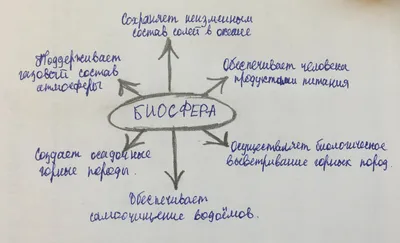 Роль человека в биосфере реферат по биологии | Сочинения Биология | Docsity