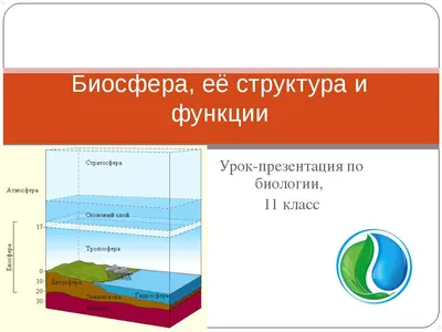 Биосфера – глобальная экологическая система, ее границы