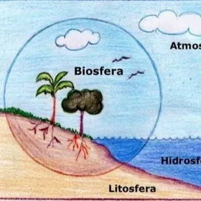 Урок на тему: \" Биосфера- живая оболочка Земли. Структура биосферы