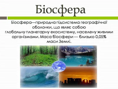 Презентация по географии на тему:\"Биосфера - земная оболочка\"