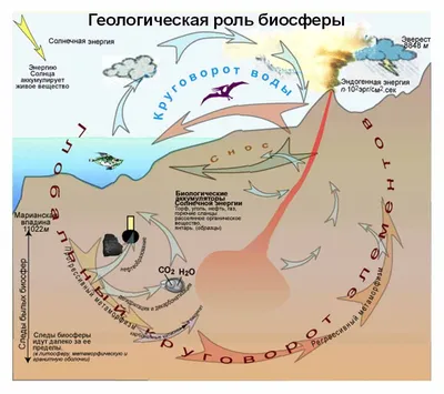 Биосфера Векторный Заполненный Контур Иконка Дизайн Иллюстрация Символ  Экологии На Белом Фоне Eps 10 Файл — стоковая векторная графика и другие  изображения на тему Без людей - iStock