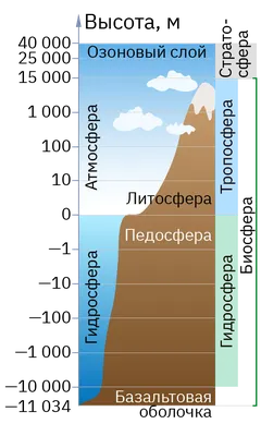 Биосфера картинки - 73 фото