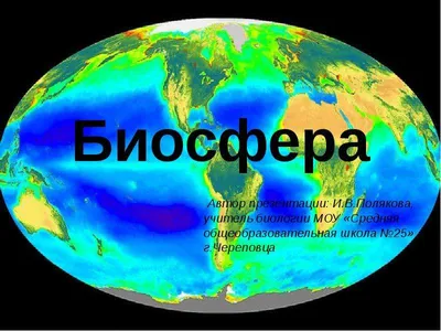 Презентация на тему: \"Биосфера и человек. Работу выполнил ученик 10 класса  Козлов Артём.\". Скачать бесплатно и без регистрации.