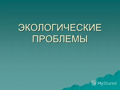 Круглый стол на тему: «Экологические проблемы г. Пугачева: пути их решения».